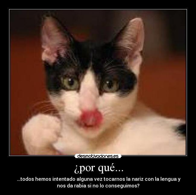 ¿por qué... - ...todos hemos intentado alguna vez tocarnos la nariz con la lengua y
nos da rabia si no lo conseguimos?