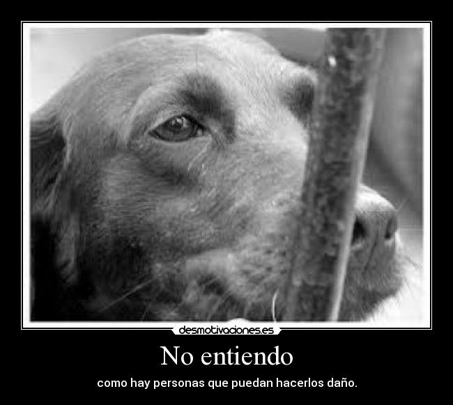 No entiendo -