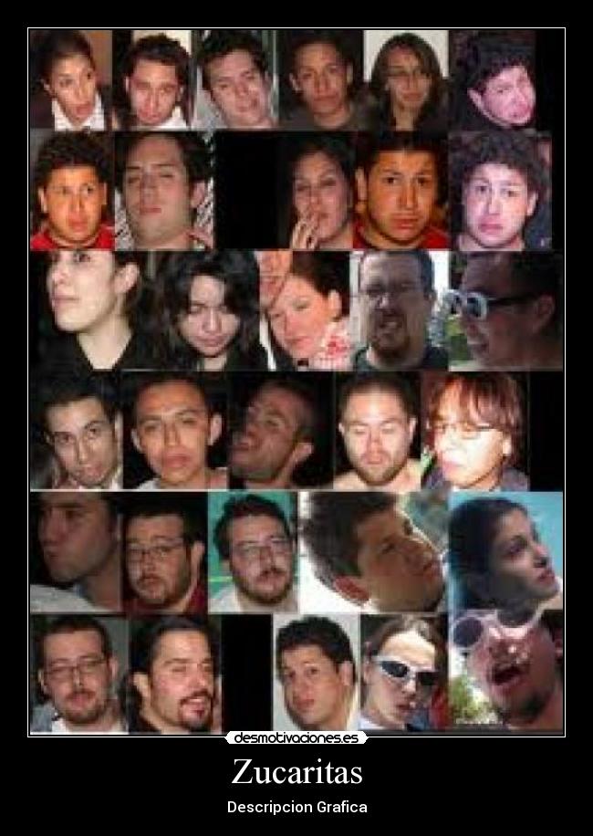 Zucaritas - Descripcion Grafica