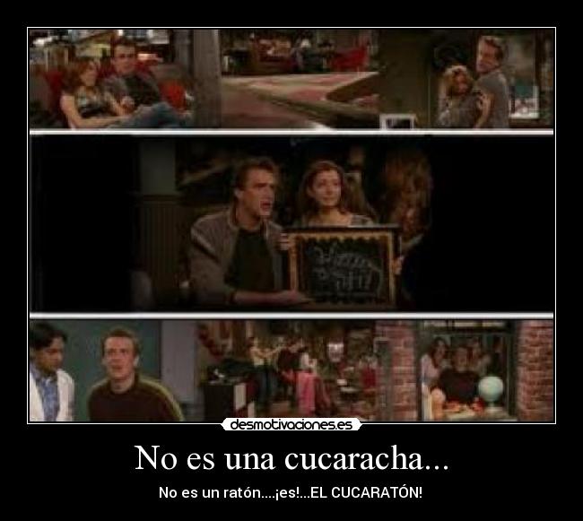No es una cucaracha... - 
