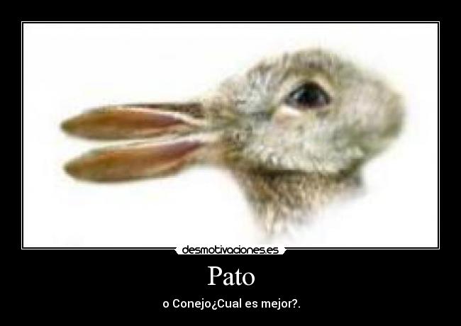 carteles poc desmotivaciones