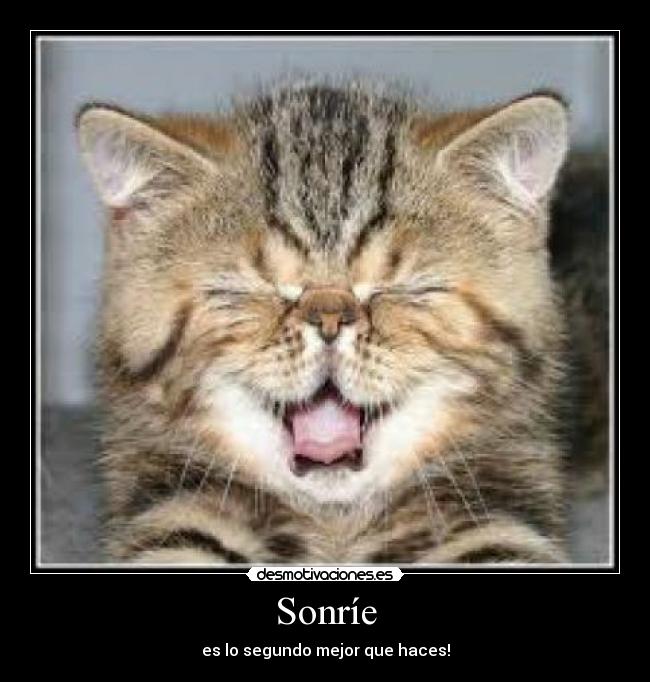 Sonríe -