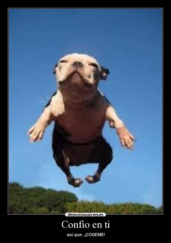 Confio en ti - asi que...¡COGEME!