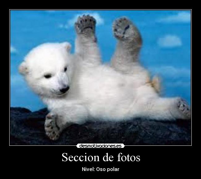 Seccion de fotos - 