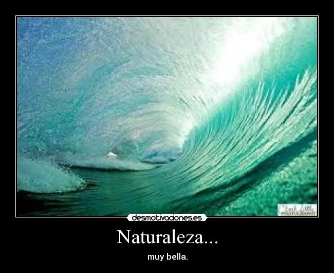 Naturaleza... -