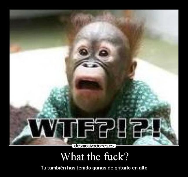 carteles lauritaalove desmotivaciones