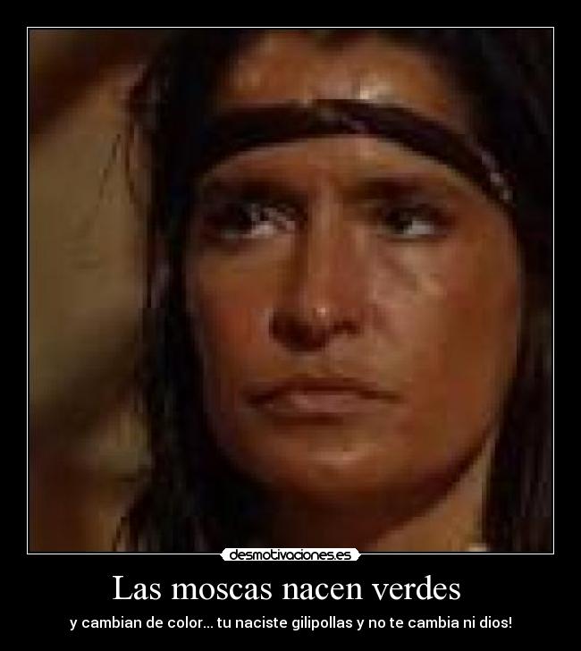 Las moscas nacen verdes -