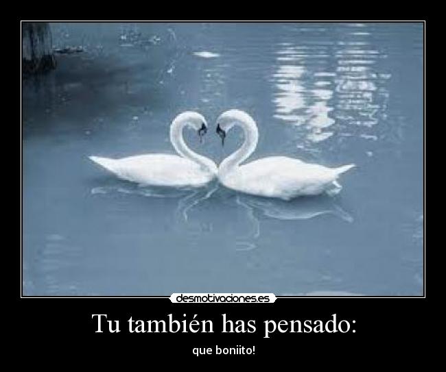 Tu también has pensado: -