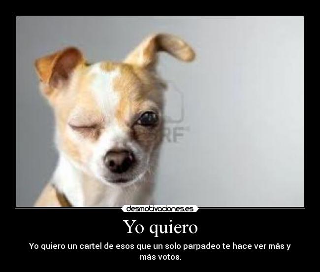 Yo quiero - 