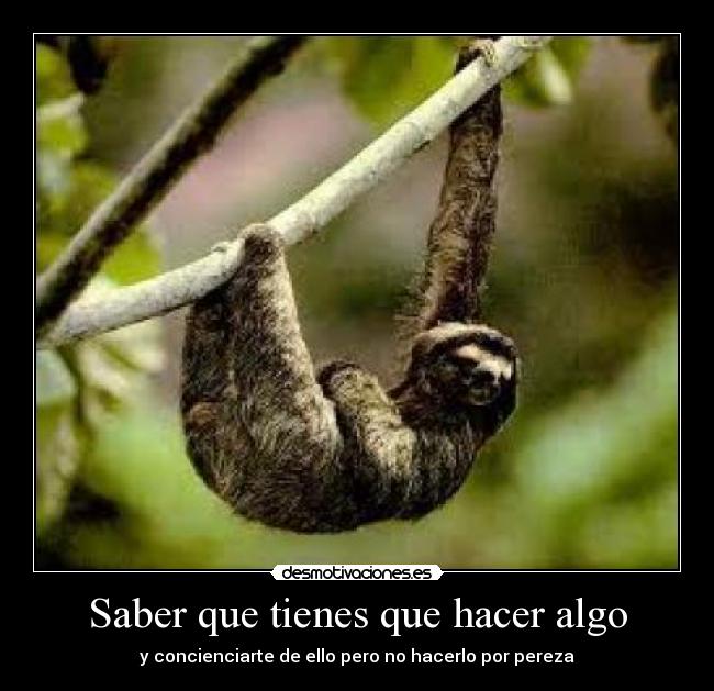 carteles pereza desmotivaciones