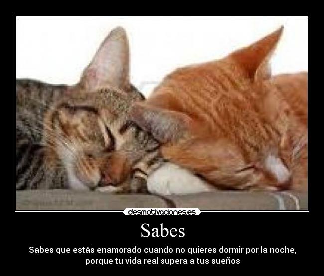 Sabes - Sabes que estás enamorado cuando no quieres dormir por la noche,
porque tu vida real supera a tus sueños