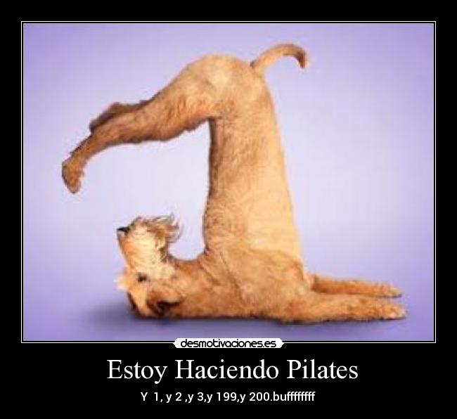  Estoy Haciendo Pilates - Y  1, y 2 ,y 3,y 199,y 200.buffffffff