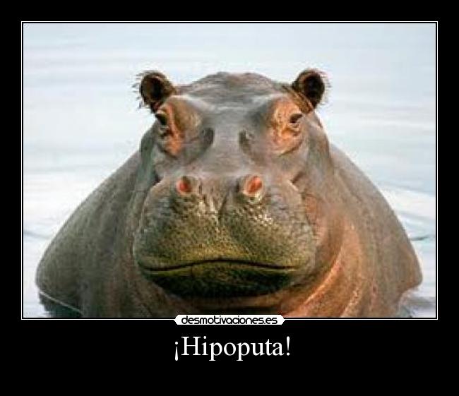 ¡Hipoputa! -