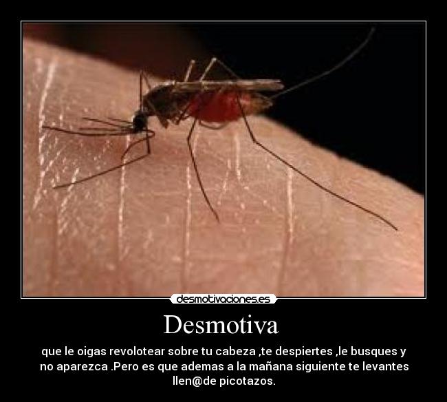 Desmotiva  - que le oigas revolotear sobre tu cabeza ,te despiertes ,le busques y
no aparezca .Pero es que ademas a la mañana siguiente te levantes
llen@de picotazos.