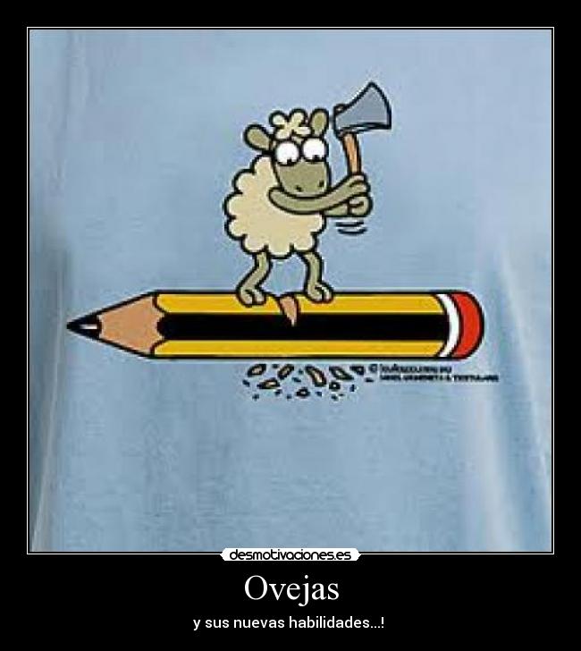 Ovejas - 