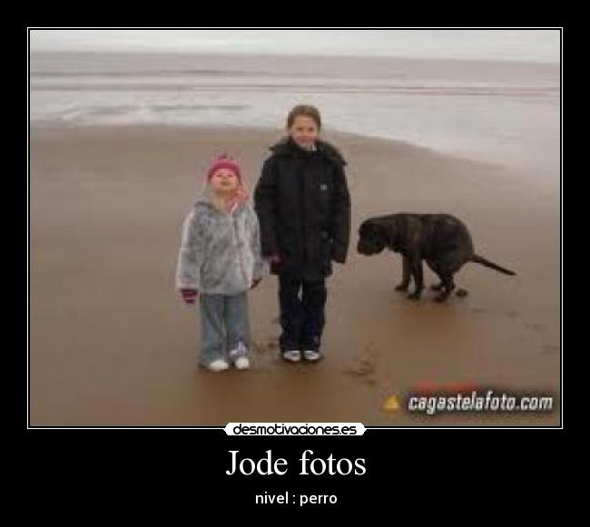 Jode fotos - nivel : perro