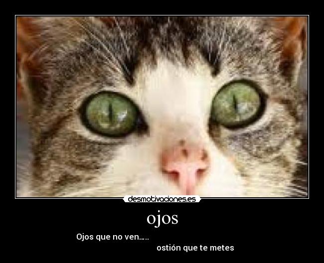 ojos - Ojos que no ven…..
ostión que te metes
