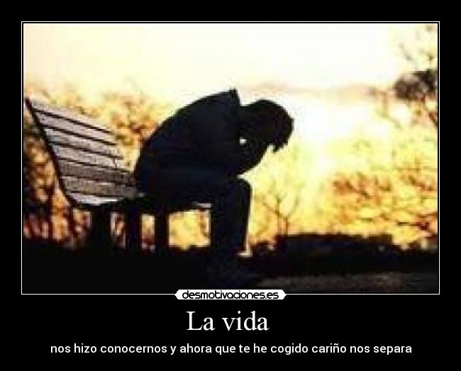 La vida  - 