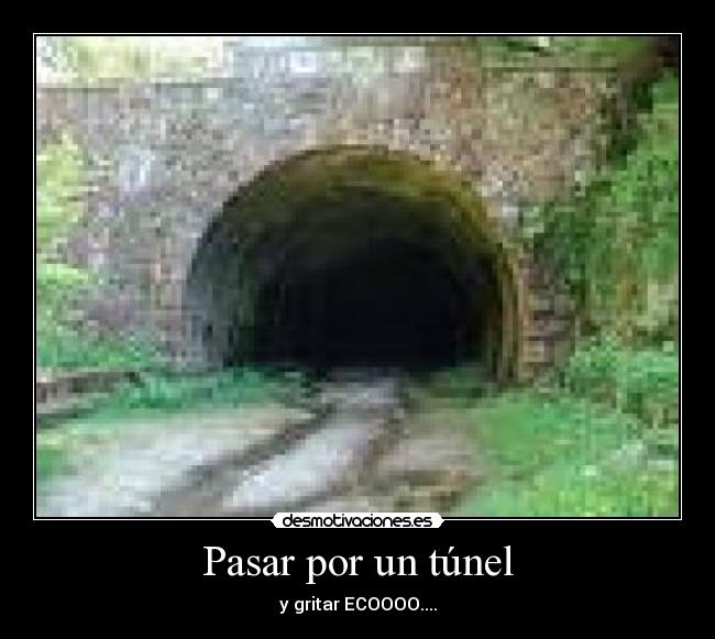 carteles eco tunel gritar desmotivaciones