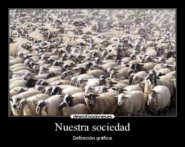 Nuestra sociedad - 