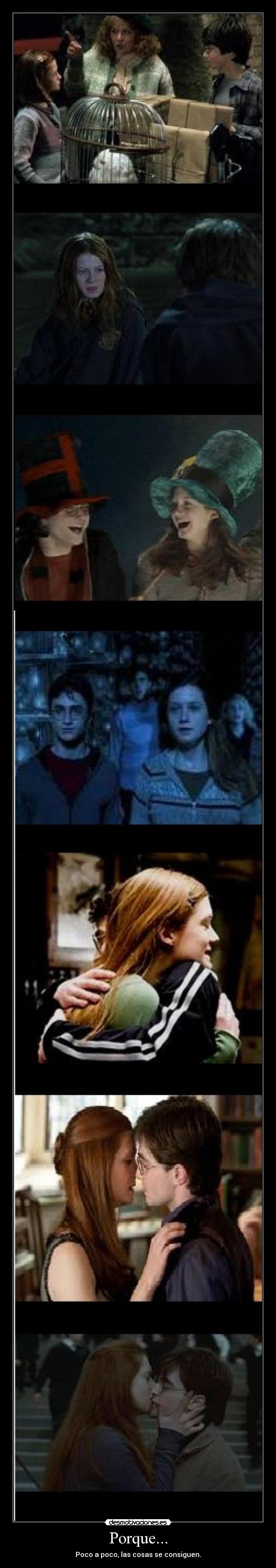 carteles wwwdesmotivacioneses desmotivaciones