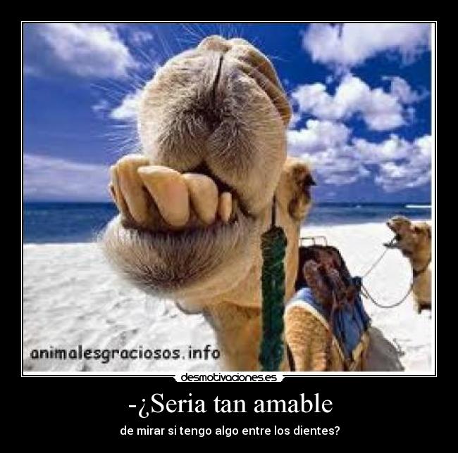 -¿Seria tan amable - de mirar si tengo algo entre los dientes?