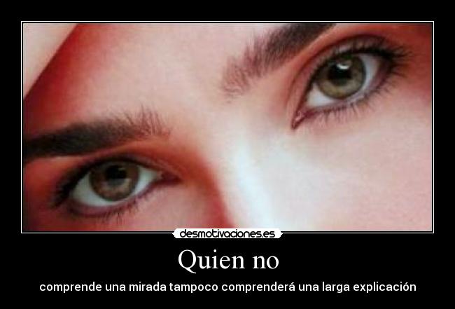 Quien no - comprende una mirada tampoco comprenderá una larga explicación