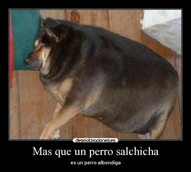 carteles mas que desmotivaciones