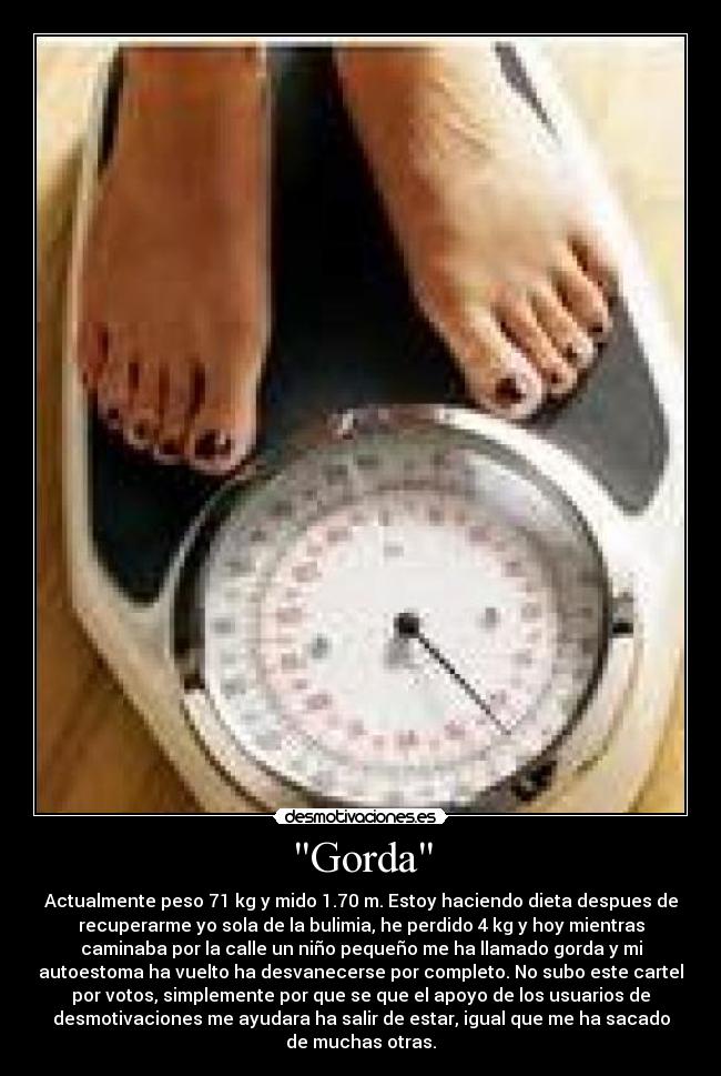 carteles gorda desmotivaciones