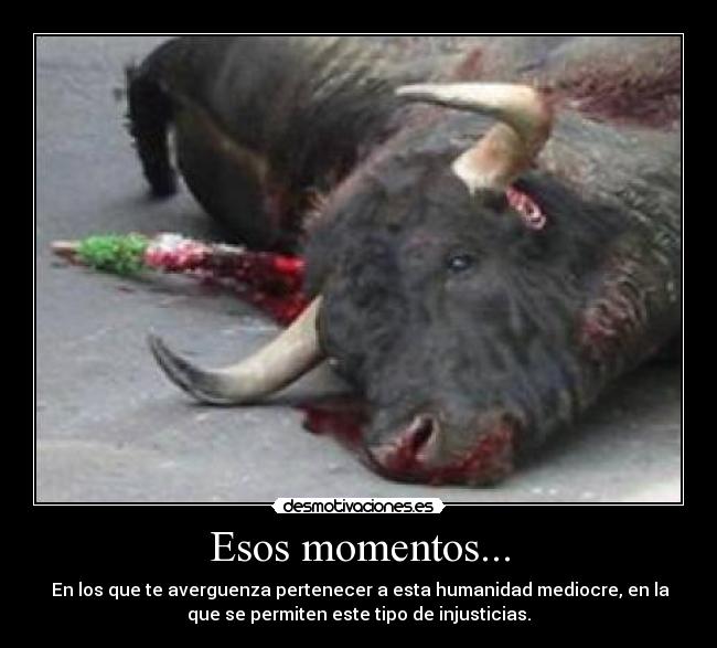 Esos momentos... -  En los que te averguenza pertenecer a esta humanidad mediocre, en la
que se permiten este tipo de injusticias.