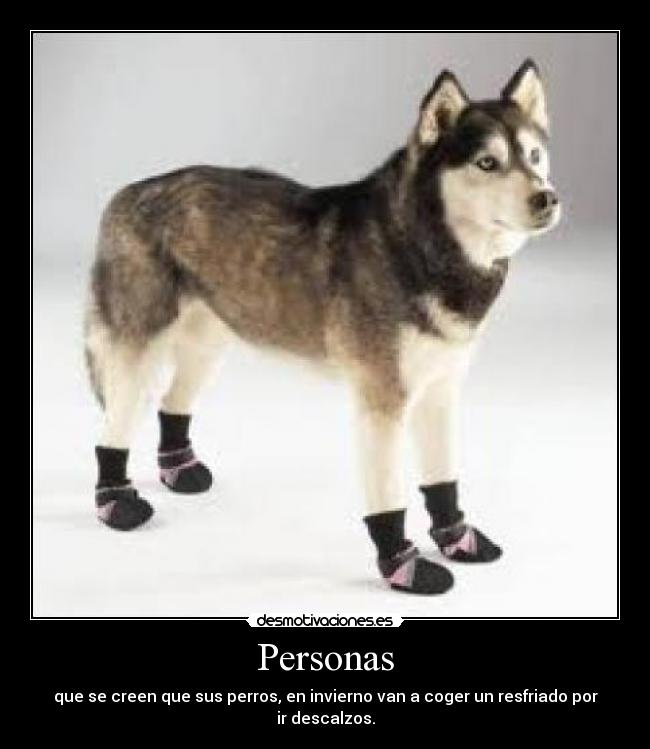 carteles personas desmotivaciones