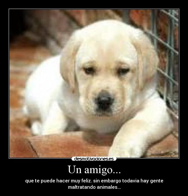 Un amigo... -
