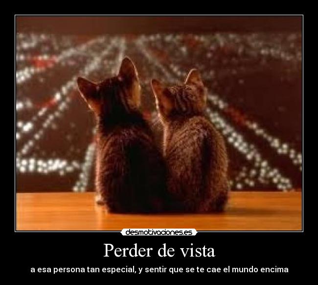 Perder de vista - 