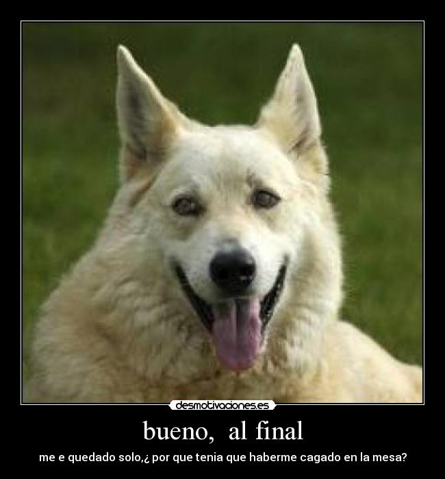 carteles carcasro desmotivaciones