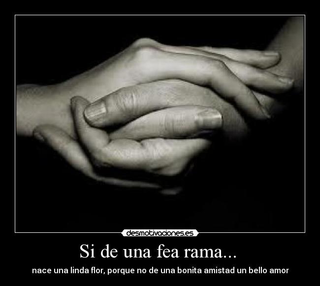 Si de una fea rama... - nace una linda flor, porque no de una bonita amistad un bello amor