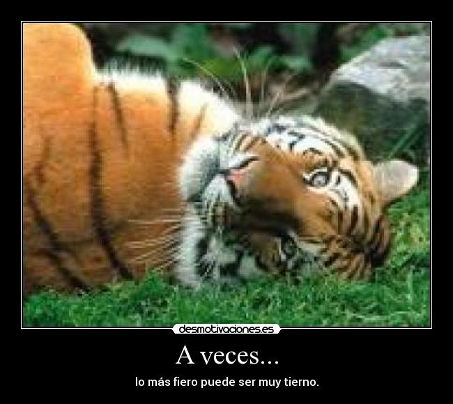 carteles ahg desmotivaciones