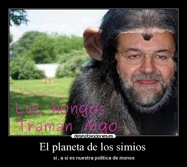 El planeta de los simios - si , a si es nuestra politica de monos