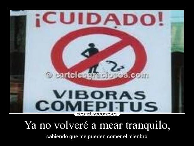 Ya no volveré a mear tranquilo, - 