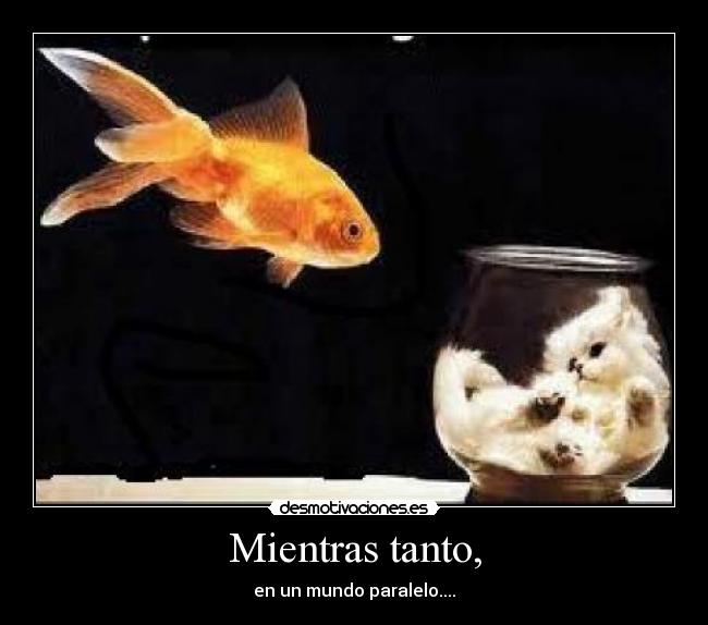 Mientras tanto, - en un mundo paralelo....