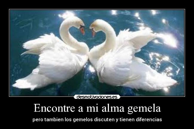 Encontre a mi alma gemela - pero tambien los gemelos discuten y tienen diferencias