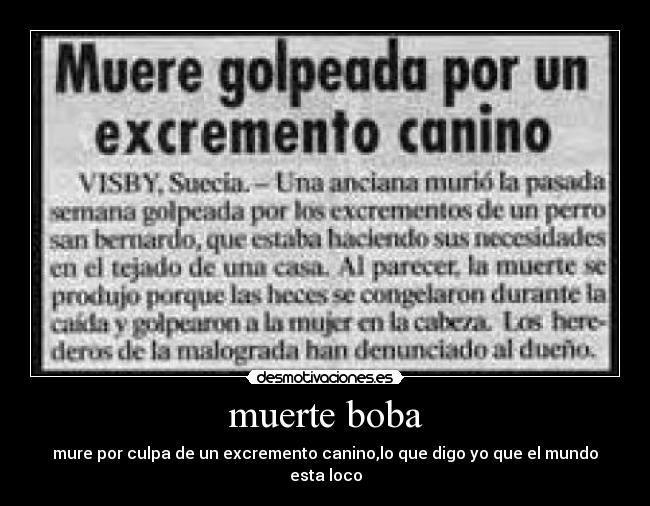 muerte boba - mure por culpa de un excremento canino,lo que digo yo que el mundo esta loco