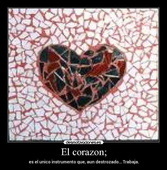 El corazon; -