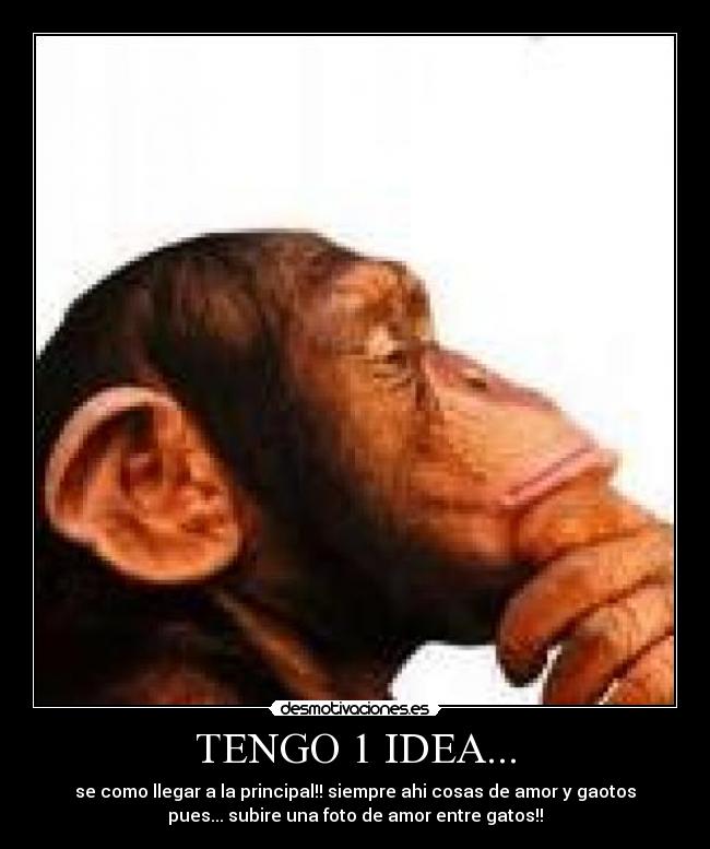 TENGO 1 IDEA... -