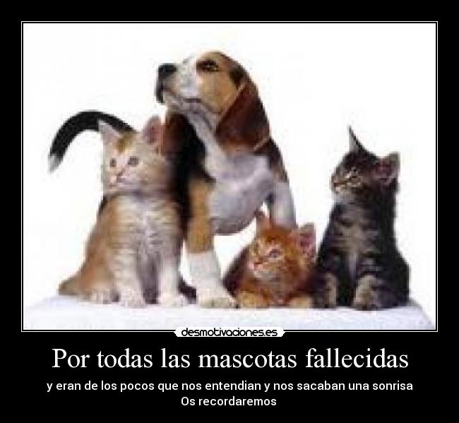 Por todas las mascotas fallecidas -