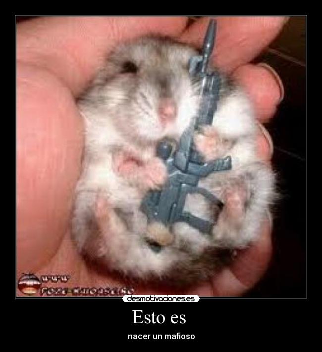 Esto es  - nacer un mafioso