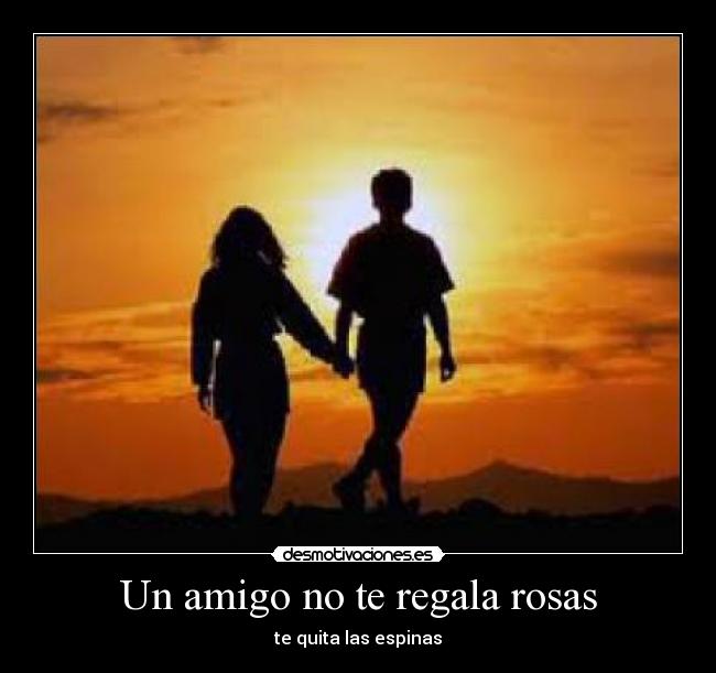 Un amigo no te regala rosas - te quita las espinas