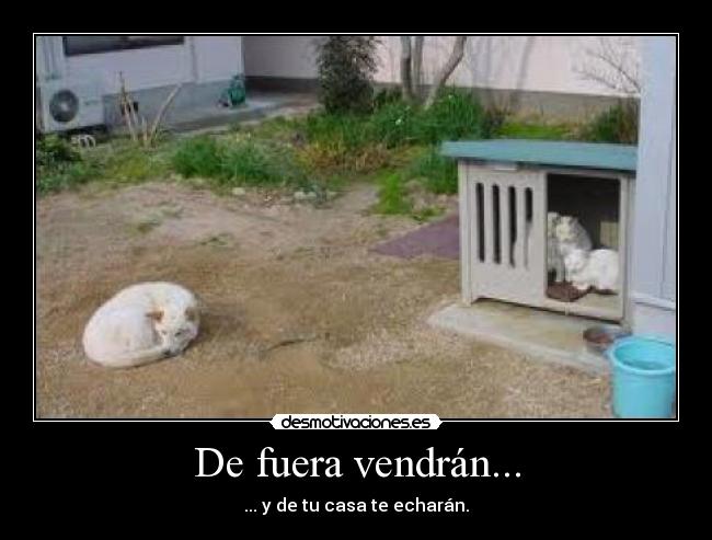 carteles casa desmotivaciones