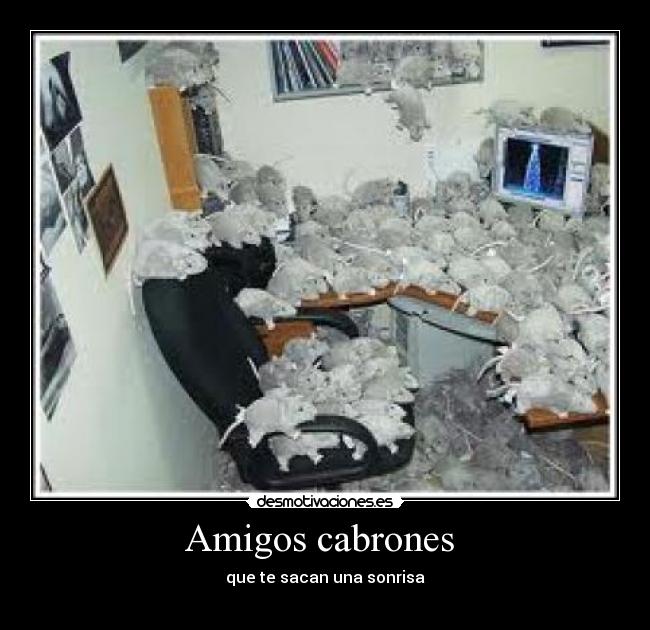 Amigos cabrones  - 