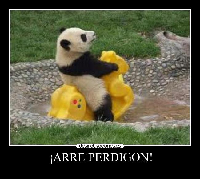 ¡ARRE PERDIGON! - 