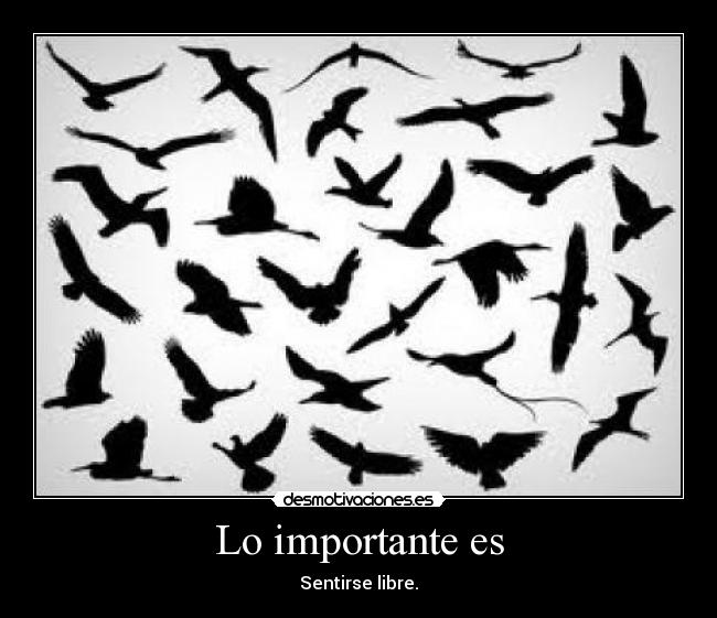 Lo importante es - Sentirse libre.